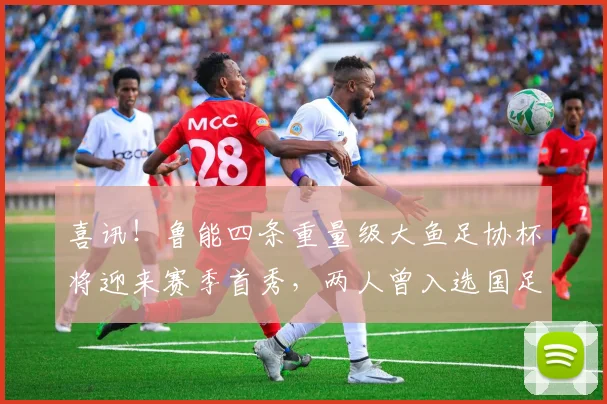 喜讯！鲁能四条重量级大鱼足协杯将迎来赛季首秀，两人曾入选国足